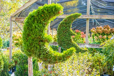 Moon Valley Nurseries Deepens Roots with Hendersonville Location