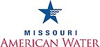 Beyond the Meter: How Utility Grants Build Missouri's Social Fabric