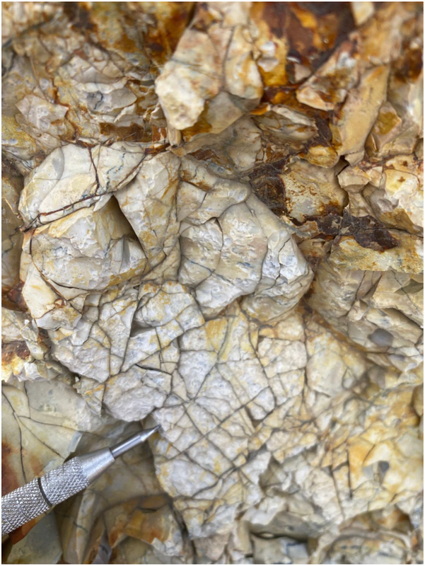 Almadex's Quiet Bet on Idaho's Historic Gold Country
