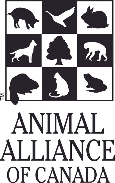 Ontario Lab Faces Probe Over Alleged Dog Cruelty, Failed Oversight