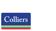 Delaisse Takes Helm at Colliers France in Strategic Leadership Shift