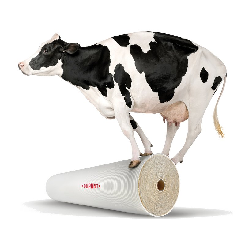 DuPont's New RO Tech Boosts Dairy Yields and Sustainability