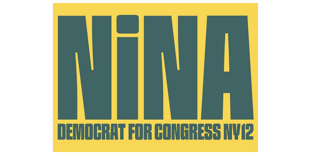 From Global Health to Capitol Hill: An Expert's Bid for NY-12