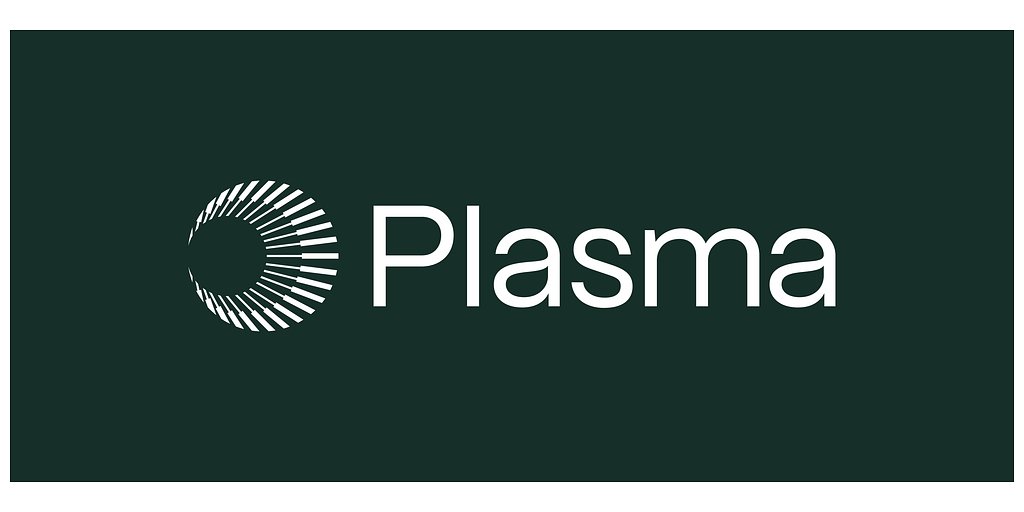 Plasma Taps Hedge Fund Veteran for Stablecoin Neobank Leadership