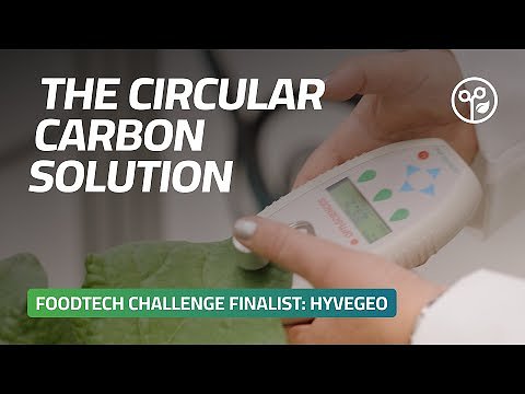 UAE Startup HyveGeo to Green the Desert with Prize-Winning Bio-Tech