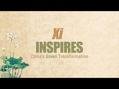 China's Green Shift: Beyond Manufacturing, a New Climate Philosophy Takes Root