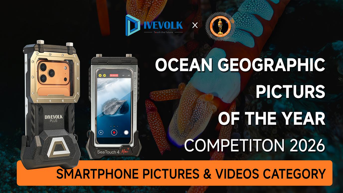 A Trip to Antarctica on Your iPhone? The New Wave of Underwater Photo Contests