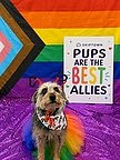 Beyond the Rainbow: Inside Skiptown’s Hyper-Local Pride Strategy