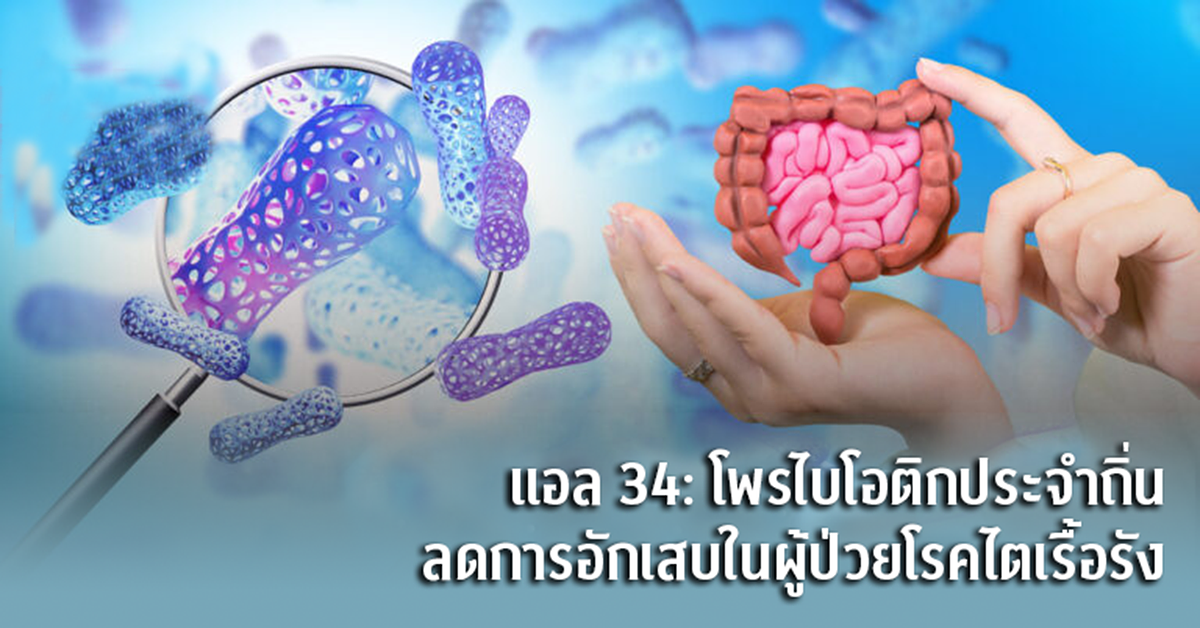 Thai Probiotic Offers New Hope for Kidney Disease Patients
