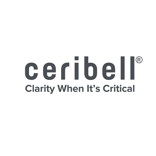 Ceribell's AI EEG Cleared to Guard Newborns Against Silent Seizures