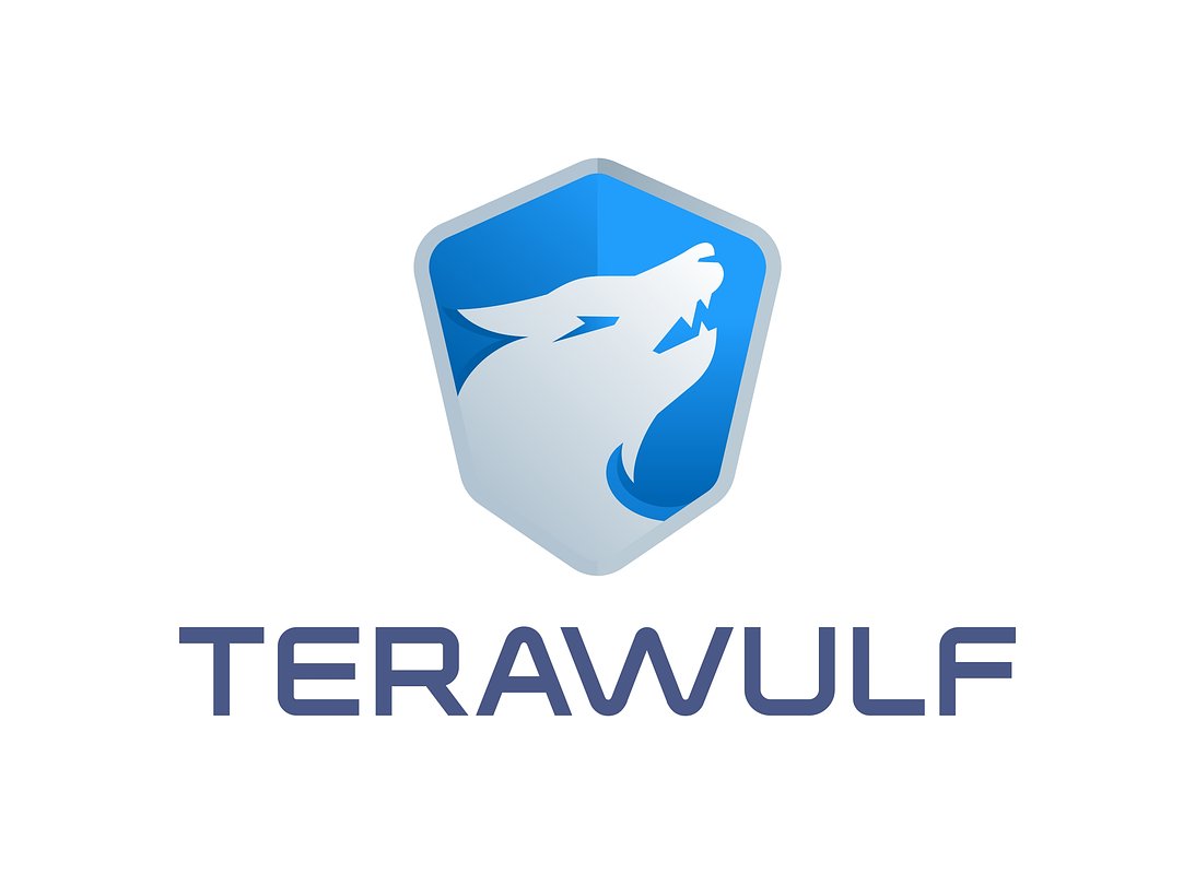 TeraWulf Lands Google-Backed Financing for Texas AI Data Center