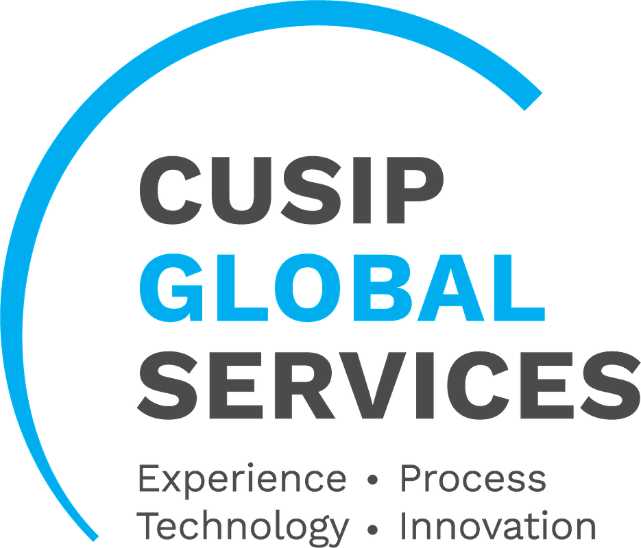 Capital Markets End 2025 on Pause After a Record-Breaking Year