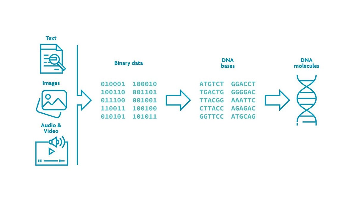 Silicon Meets DNA: A New Partnership to Solve the AI Data Crisis