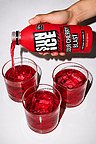 The $2 Cocktail: How SUN ICE Is Shaking Up the Ready-to-Drink Market
