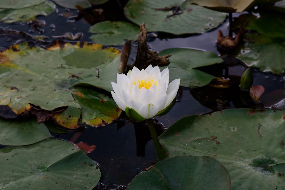Conservation Overhaul Ignites Fierce Opposition Across Ontario