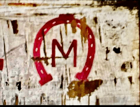 TransGlobal Assets Pivots to Eyewear, But Questions Cloud the Vision