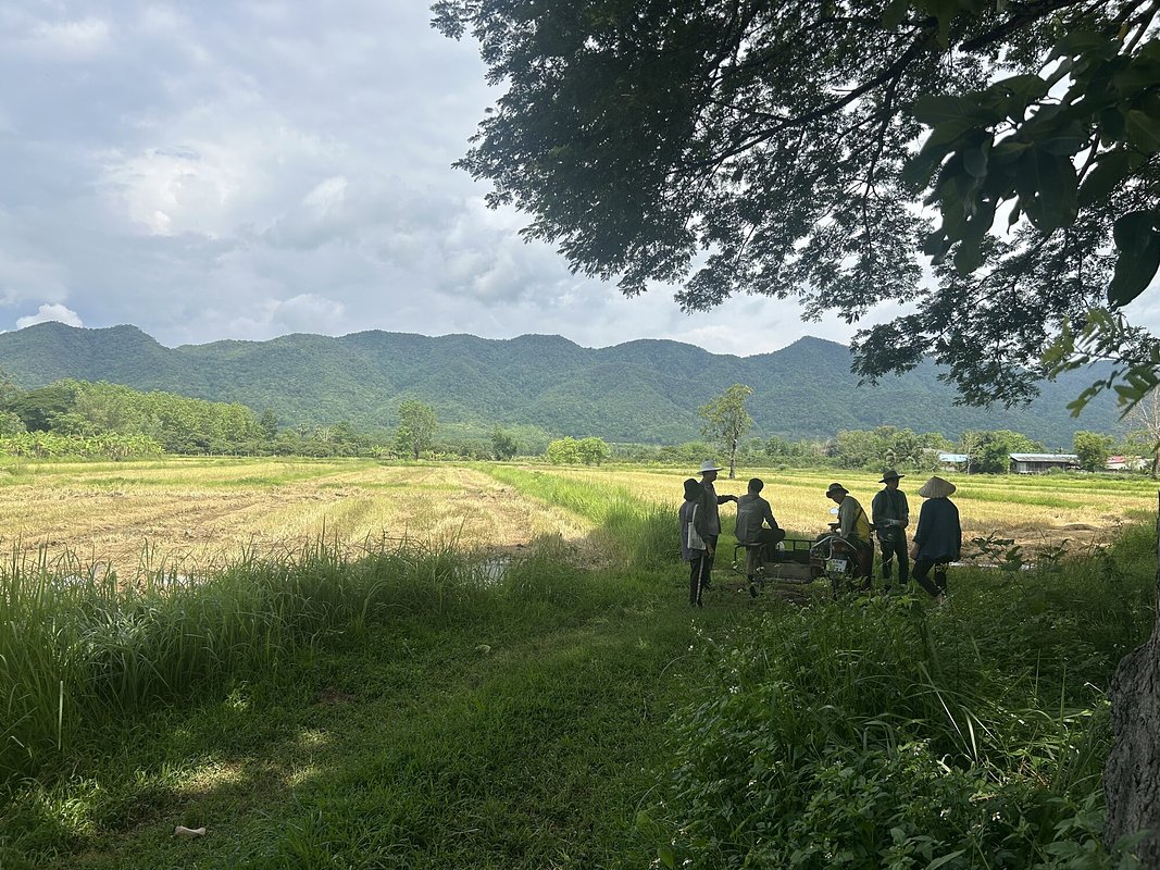 Lotus Foods Fortifies Rice Supply Chain Amid Global Uncertainty