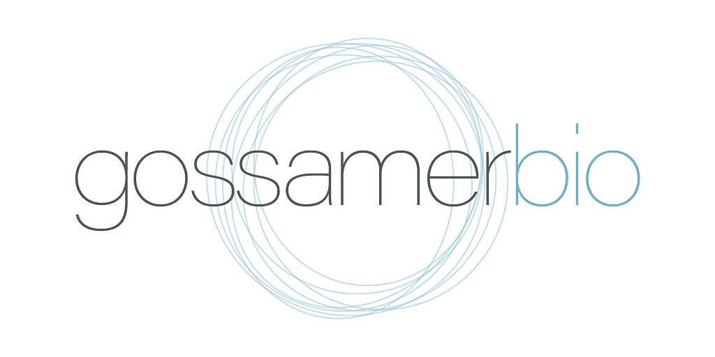 Gossamer's High-Stakes Hire: What a Key Stock Grant Reveals