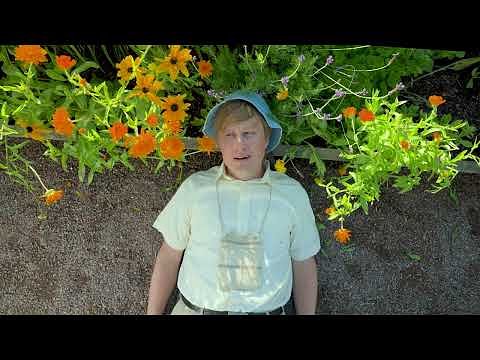 Uppsala's IQ Tourism: Travel for the Curious Mind