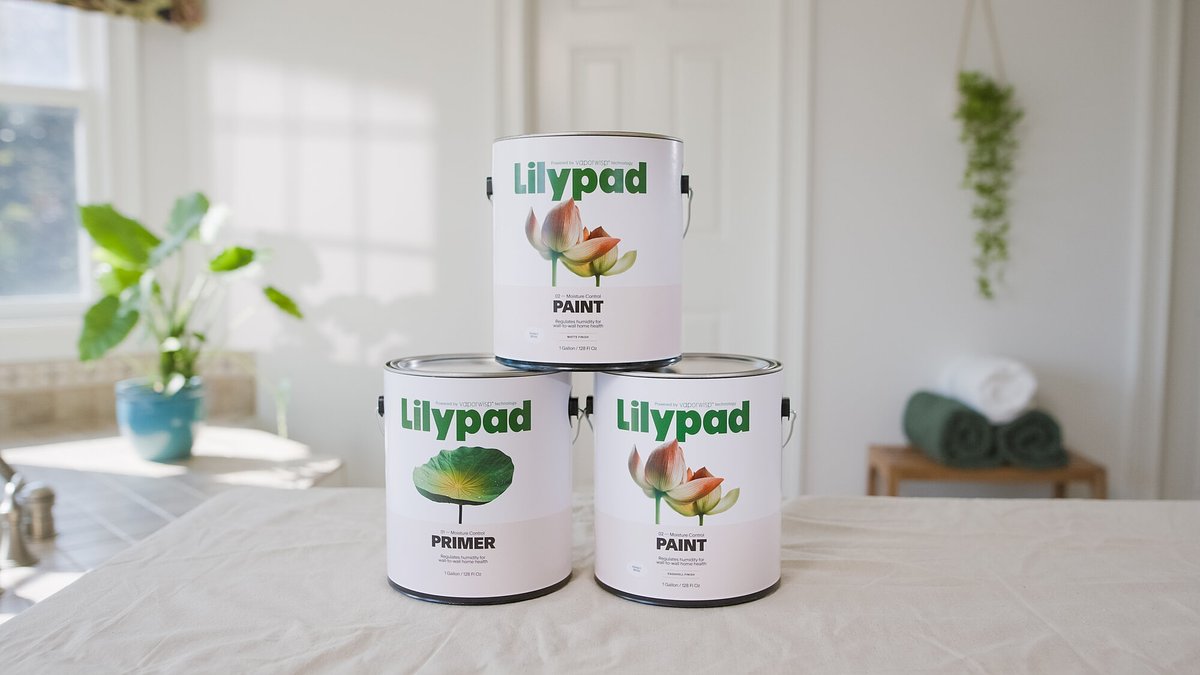 This Smart Paint Puts Your Walls to Work Against Humidity and Mold