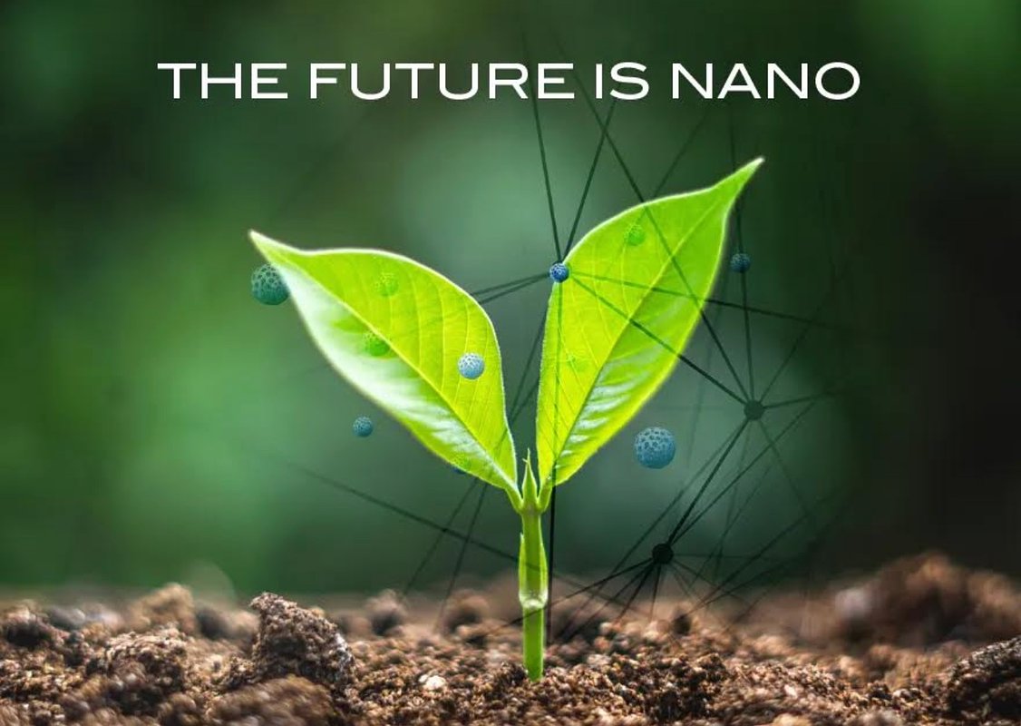 Nano-Yield’s Award Highlights a Resilient Path for Modern Agriculture
