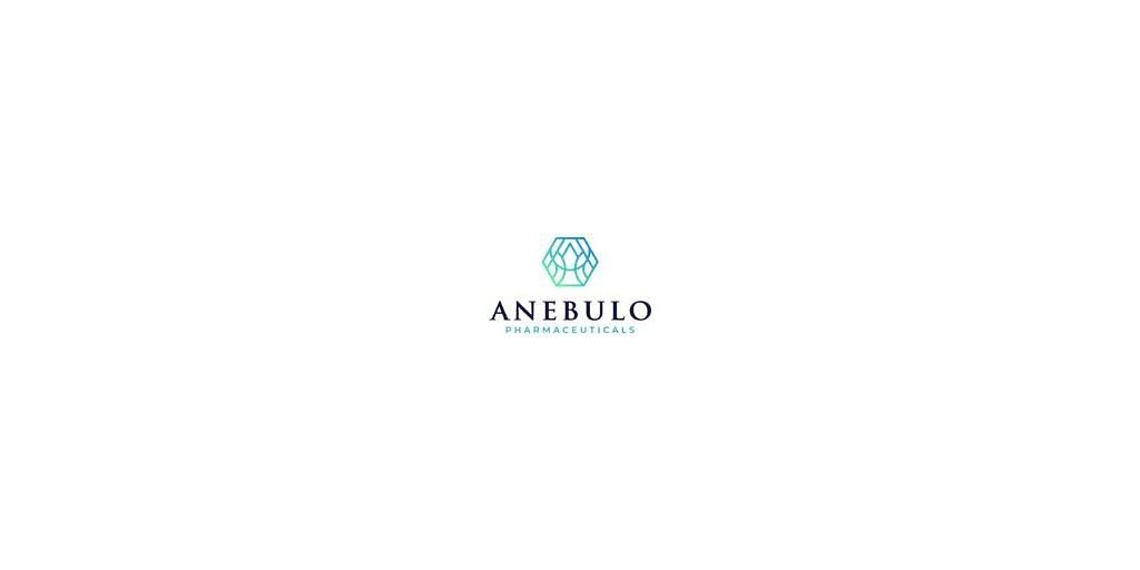 Anebulo's Nasdaq Exit: A Strategic Retreat or Sign of Distress?