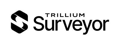 Trillium Surveyor's Award Signals New Era for Financial Watchdogs