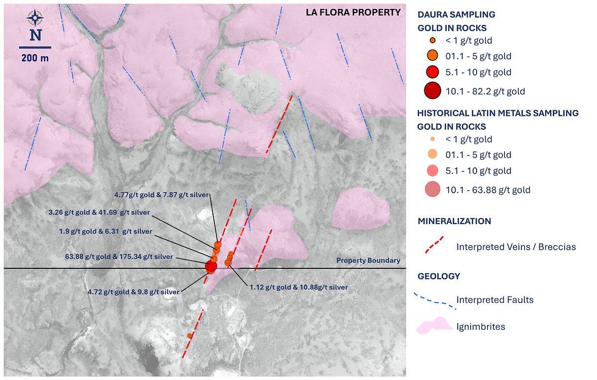 Gold Veins and Partner Gains: A New Model Strikes it Rich in Argentina