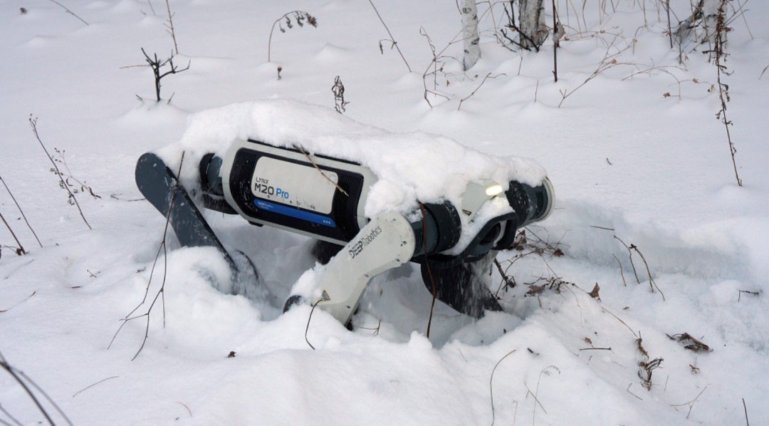 DEEP Robotics' Lynx M20 Wins Top Design Award, Signals New Era for Robots