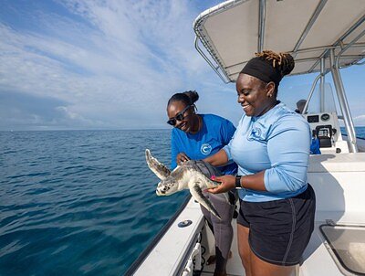 Beyond the Resort: Atlantis's Two-Decade Mission to Save the Seas