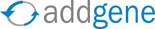 Addgene Taps Industry Veteran for Commercial Push into Biopharma