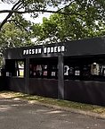 Beyond the Bodega: Pacsun's New Blueprint for Retail Relevance