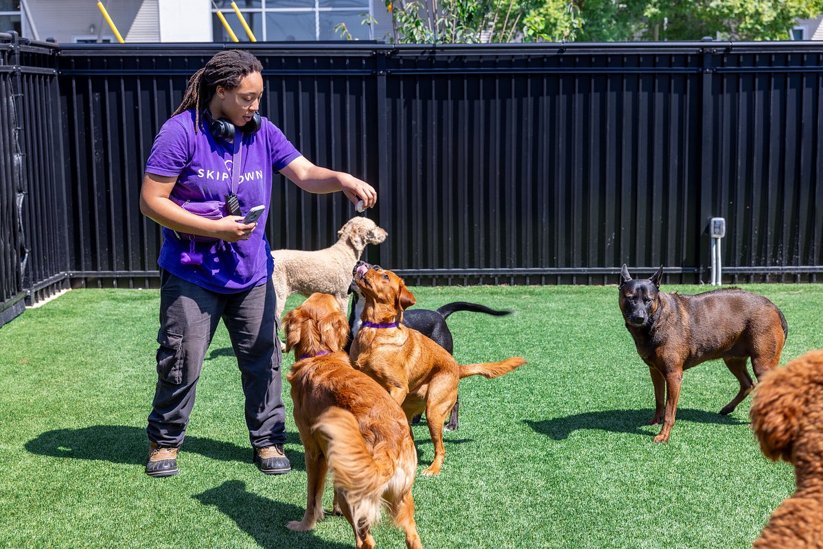 Skiptown Unleashes Growth with Tech, Tapping into $165B Pet Economy