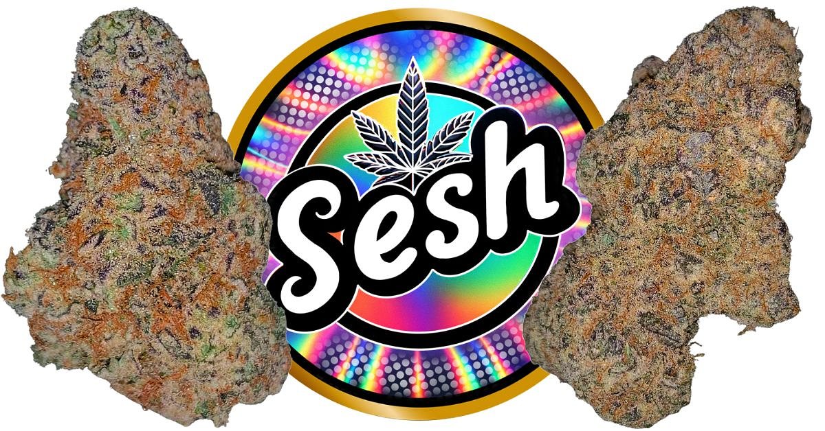 North Carolina's Craft Cannabis Coup: An Upstart Redefines 'Exotic'