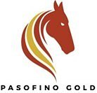 Pasofino Gold Goes Private as Shareholders Approve Mansa Takeover