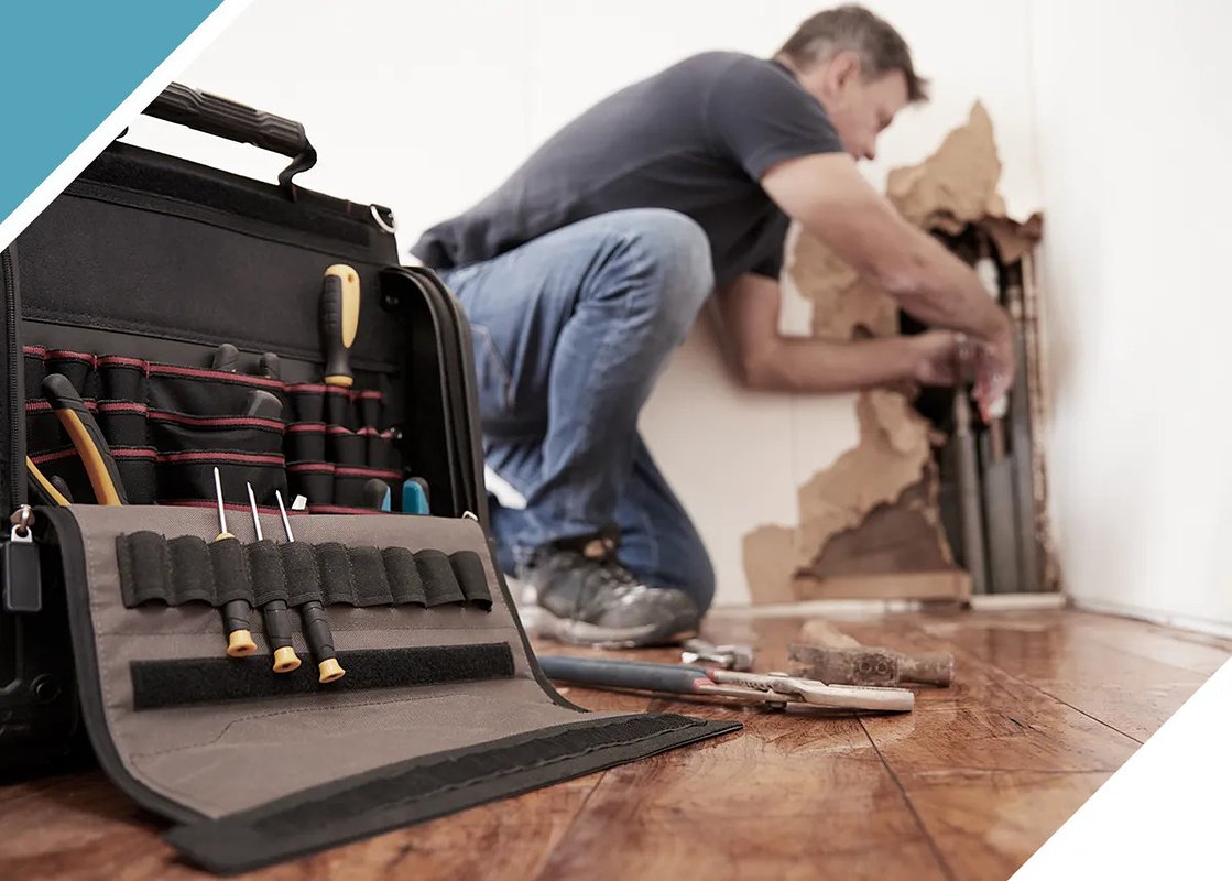 Seattle's Rising Tide: Restoration Firm Boosts Response to Climate Risks