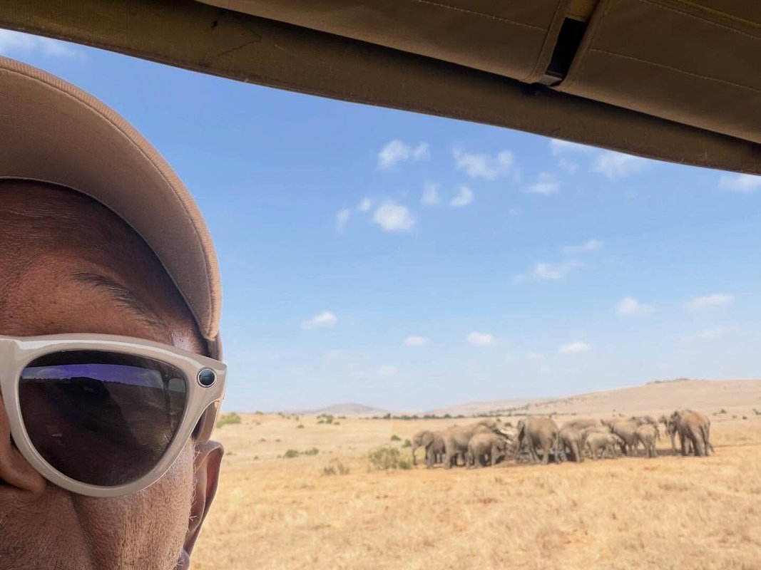 Hollywood's Roar: Jackson Fights for Ailing Elephants, Ignites Zoo Debate