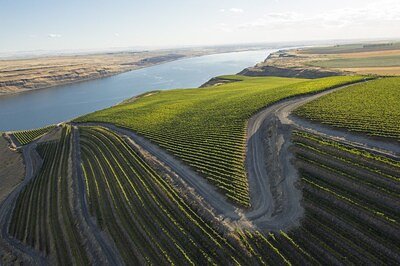 Washington Wine Rivals Unite to Conquer National Restaurant Menus
