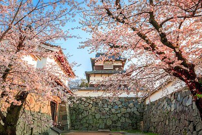 Seamless Japan: New Partnership Unlocks West's Hidden Gems