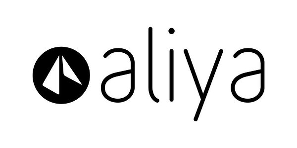 Tiger Cubs' AI, Forged in a Mega-Bank, Aims to Upend Lending Rules