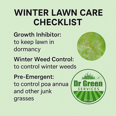 The New Green: DFW Firms Innovate to Beat Winter Lawn Damage
