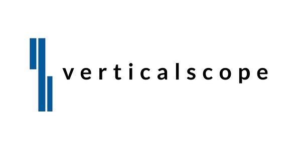 VerticalScope's Earnings: A Test of Strategy Amid Market Headwinds