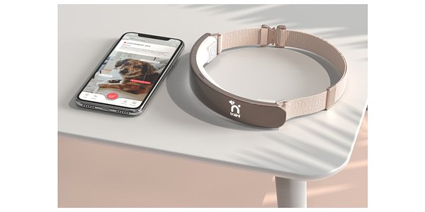 AI Startup Raises $7.5M to Let You Talk to Your Dog