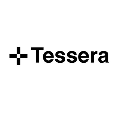 Tessera's AI 'Operating System' Aims to Level the P&C Playing Field