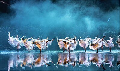 Beyond the Launch: Nanping’s Digital Bloom: Reimagining Rural Tourism in China