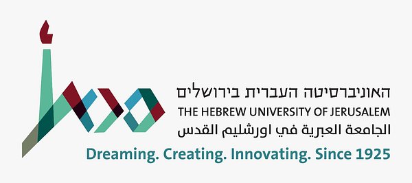 The Unseen Judges: How AI's Hidden Logic Is Deciding Your Fate