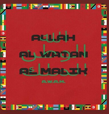 RedOne's 'A.W.A.M.': A Landmark Album for African Global Sound