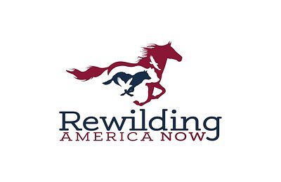 Gateway to Slaughter? The System Failing America's Wild Horses