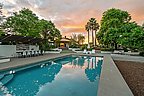 AI Stock for a Vineyard View: A New Currency in Wine Country Real Estate