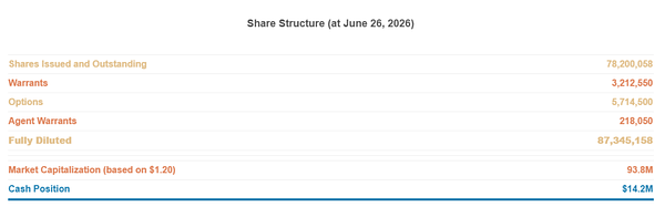 Forte Minerals: A Case Study in Capital Strategy and Exploration Focus
